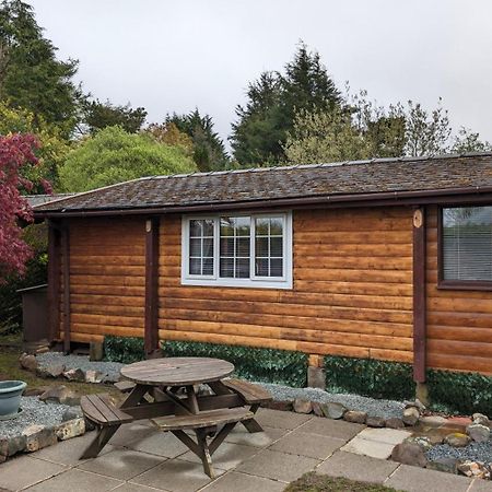 Snowdonia Log Cabin 2 Villa Trawsfynydd Luaran gambar